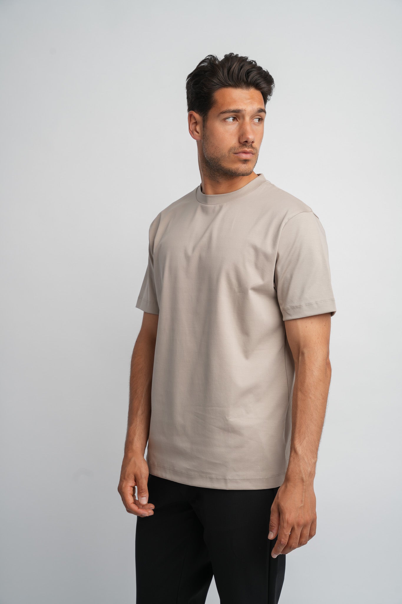 Desert Taupe T-shirt