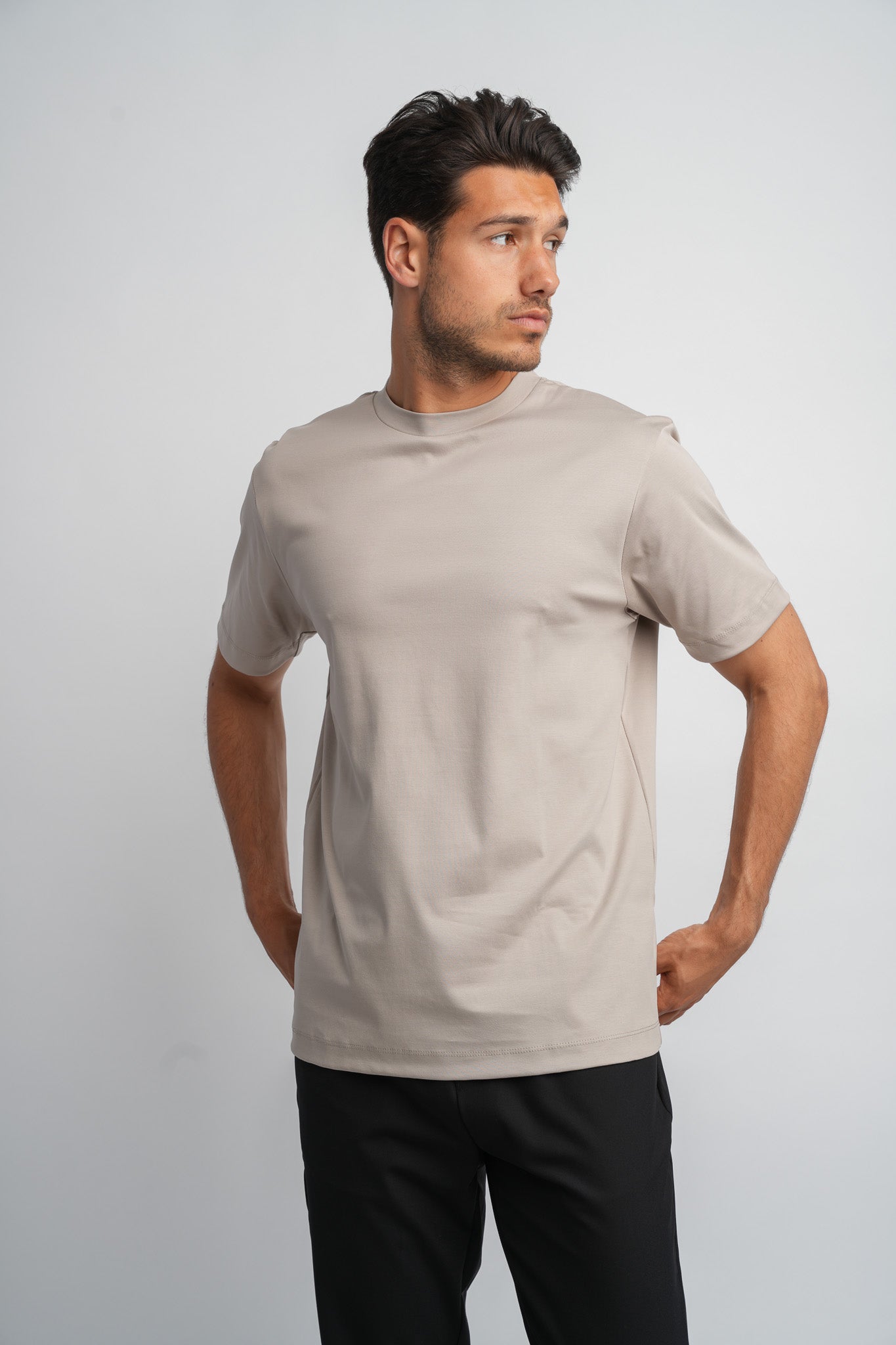 Desert Taupe T-shirt